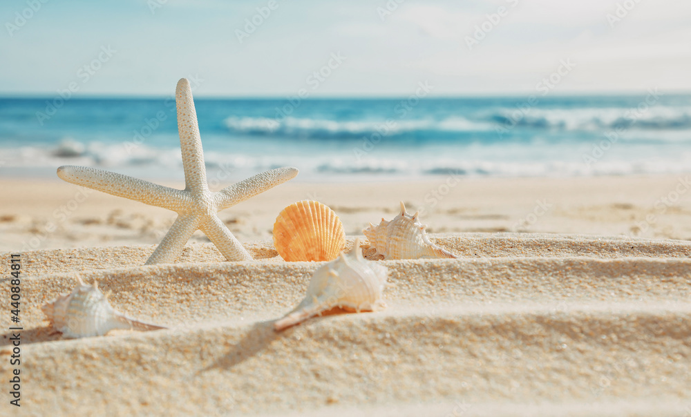 Summer sea background concept, White starfish, scallops, and spiny shells, rest on the white sand beach, near the beautiful sea, on a sunny day, in Thailand's tourist season.