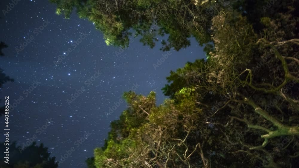 Timelapse 4k - Milky Way Over California Forest Timelapse 4k - Milky Way Over California Forest