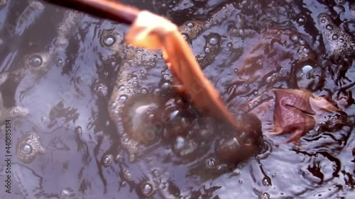 Bubbles Form On Water Surface During Dyeing Textiles With Organic Red Madder Dye photo