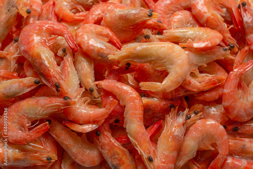 Shrimps background texture. A lot of shrimps. Cooked shrimps. Shrimps background texture. A lot of shrimps. Cooked shrimps.