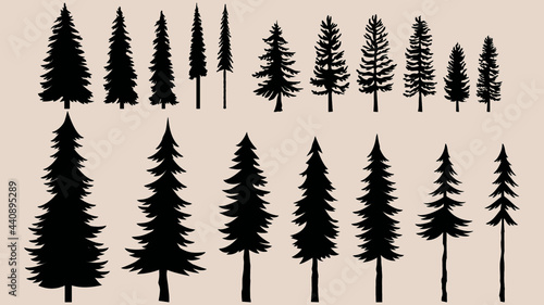 Pine tree collection, different tree vectors use for logo, landscape design