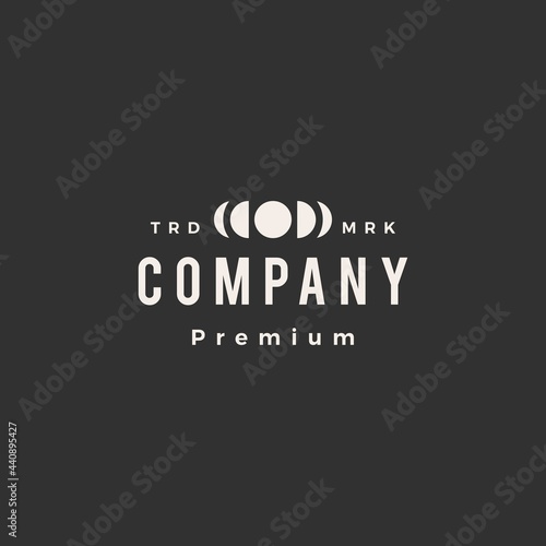 moon phase hipster vintage logo vector icon illustration