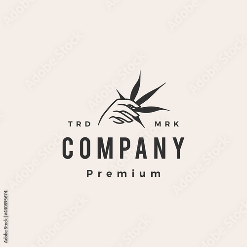 hand hold cannabis hipster vintage logo vector icon illustration