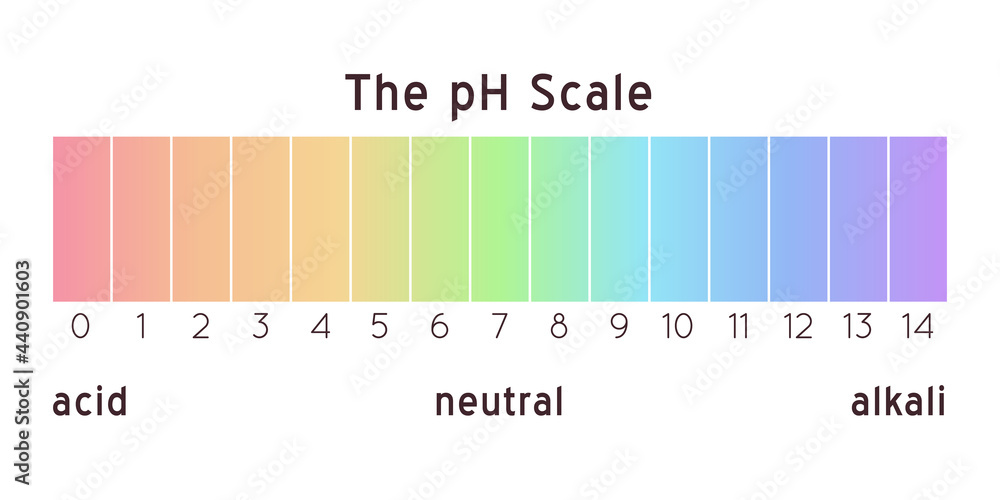 Fototapeta premium pH scale diagram. Vector rainbow illustration