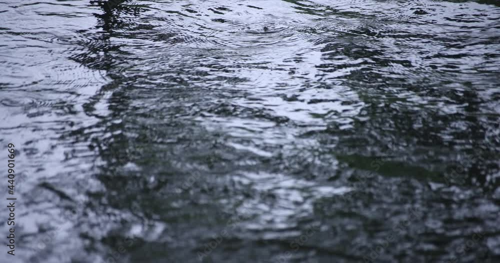 A slow motion of rain drop in the water the pond rainy day closeup A slow motion of rain drop in the water the pond rainy day closeup