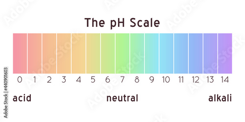 pH scale diagram. Vector rainbow illustration