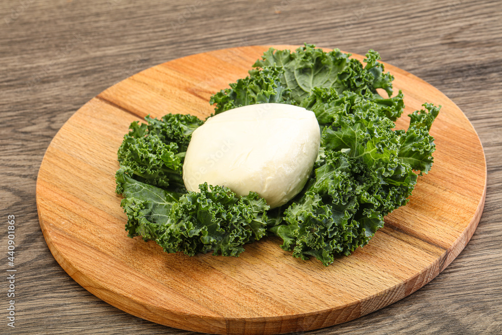 Soft mozzarella cheese over board Soft mozzarella cheese over board