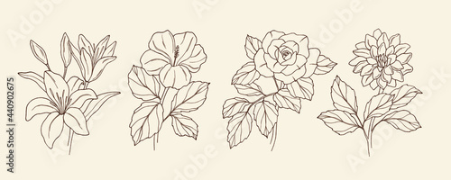 Collection of hand drawn lily, hibiscus, rose, dahlia