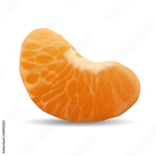 Wallpaper Mural Realistic vector mandarin slice. Close-up illustration of tangerine isolated on white background Torontodigital.ca