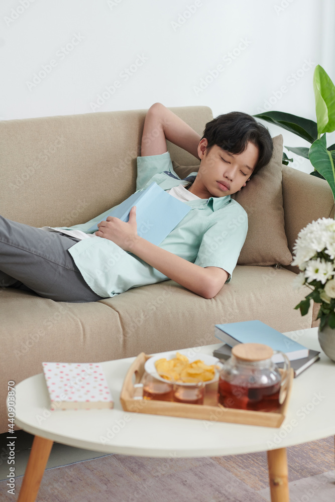 Teenage boy fell asleep after reading book lying on sofa at home Teenage boy fell asleep after reading book lying on sofa at home