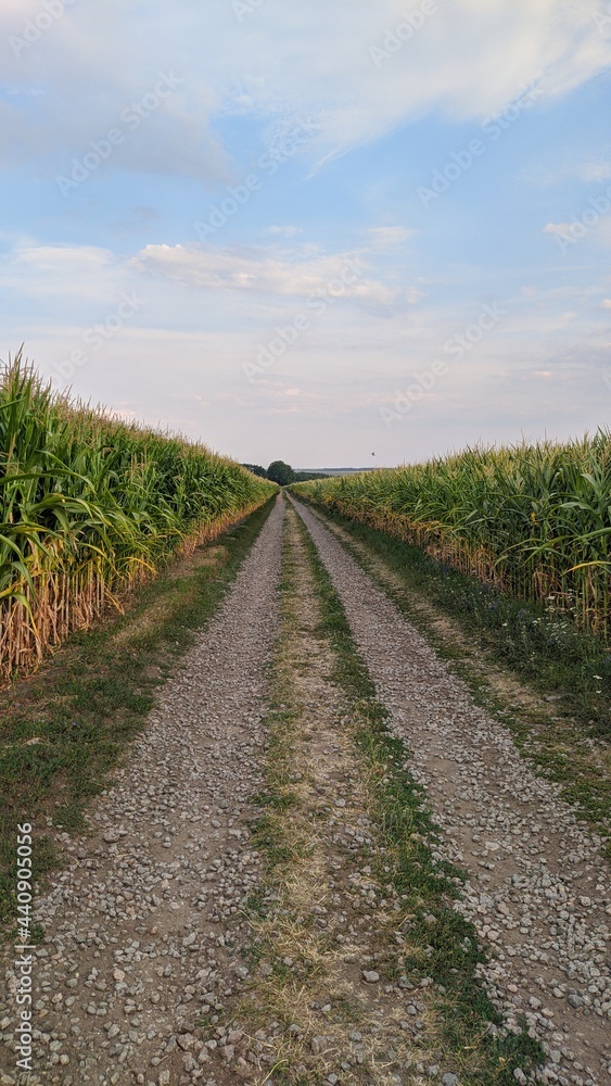 road in the countryside