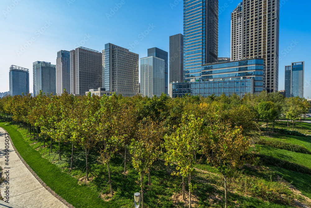 Fototapeta premium green lawn with city skyline background, Tianjin china.
