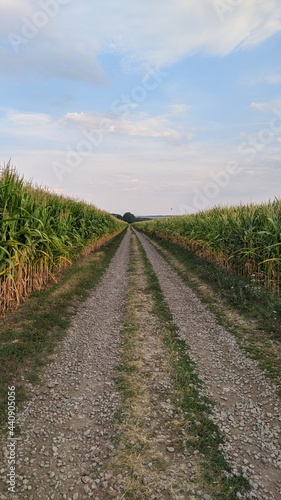 road in the countryside