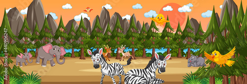 Photography Forest panorama at sunset time scene with various wild animals