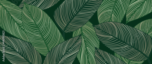 Abstract art Golden leaves background vector. Wallpaper design with line art texture from monstera leaves, Jungle leaves, exotic botanical floral pattern. Design for prints, banner, wall art.