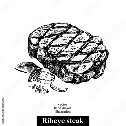 Hand drawn sketch ribeye steak. Isolated vector food illustration on white background