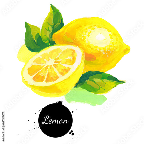 Hand drawn sketch acrylic watercolor painting on white background. Vector illustration of fruit lemon