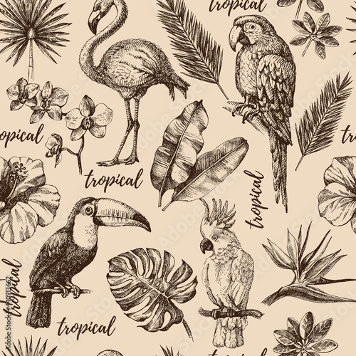 Hand drawn sketch tropical paradise plants and birds vintage seamless pattern. Vector illustration background