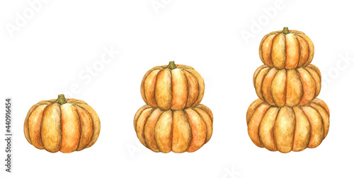 Set of Pumpkins. Isolated on white background. Watercolor illustration.