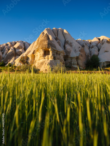 A field and a high mountain during sunset. Lines of mountains and rocks again...