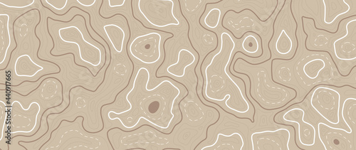 abstract line art background vector.  Mountain topographic map background with lines  texture.  Wallpaper design for wall arts, fabric , packaging , web, banner, app, wallpaper.