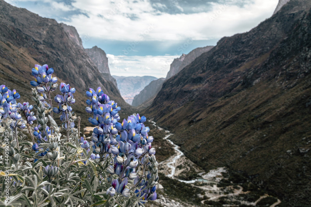 Scenic view of a valley in Huascaran National Park, Cordillera Blanca, Peru.