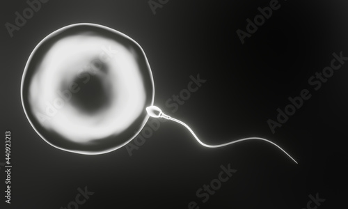 3D rendering. White microscopic sperm and egg cell. photo