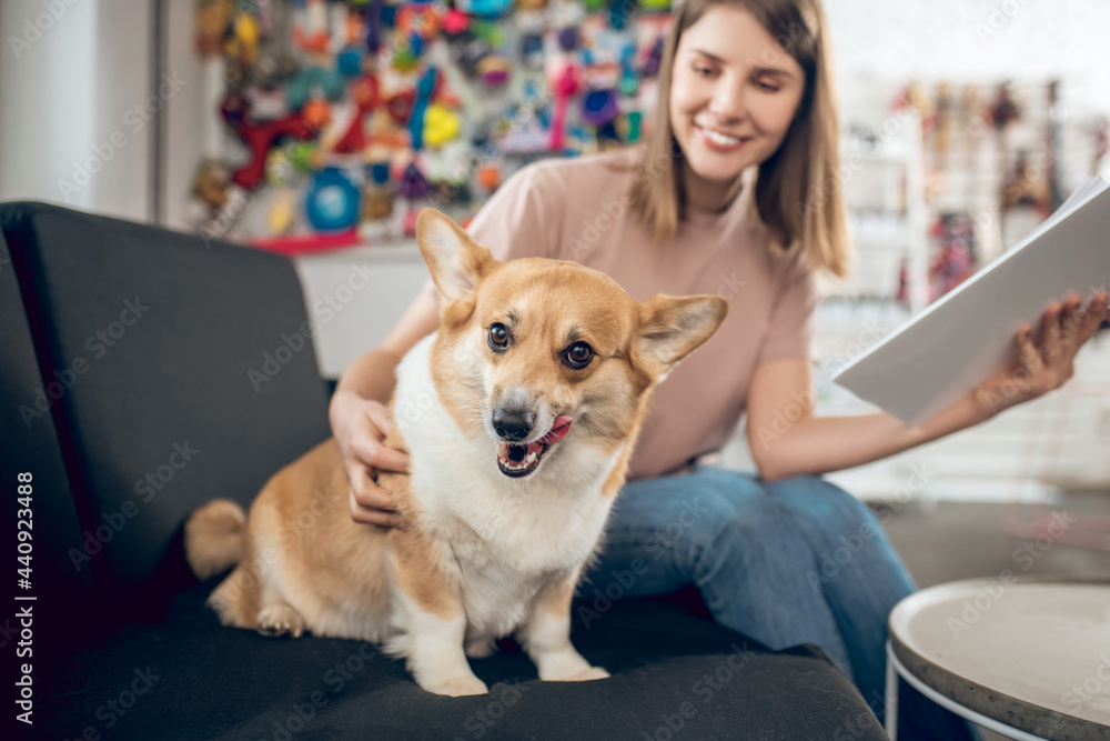 Pretty young girl with a dog next to her in a pet shop