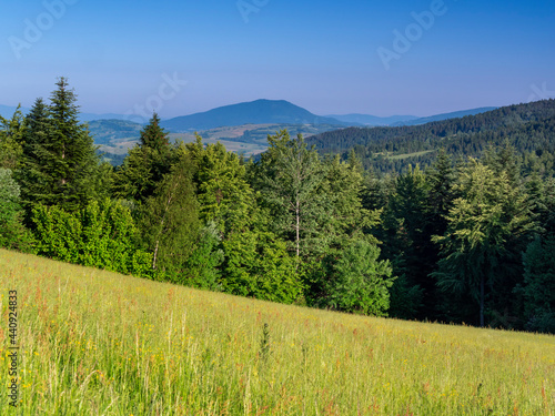 Basid Wyspowy, Przysłopek widok na Luboń Wielki photo