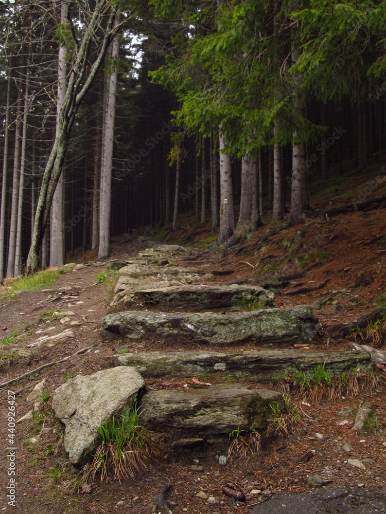 Kamienne schody, górski szlak w Karkonoszach, Polska - obrazy, fototapety, plakaty 