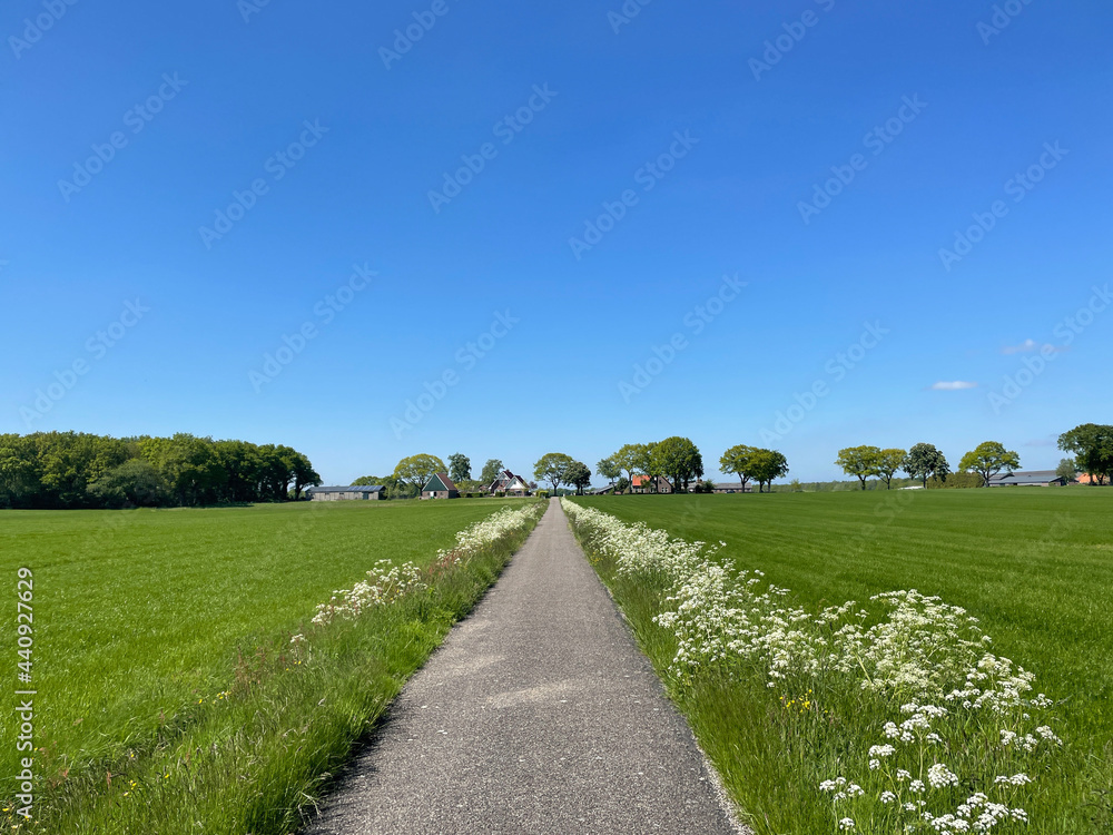 Path towards De Hoeve