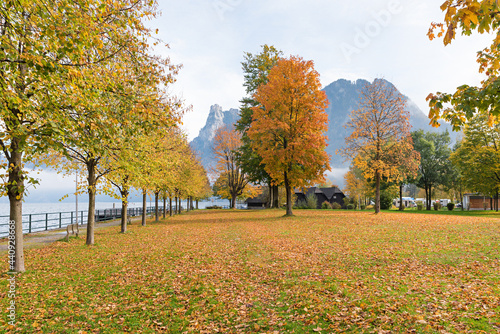 idyllic autumnal lake shore scenery at tourist resort Ebensee, lake Traunsee, Salzkammergut photo