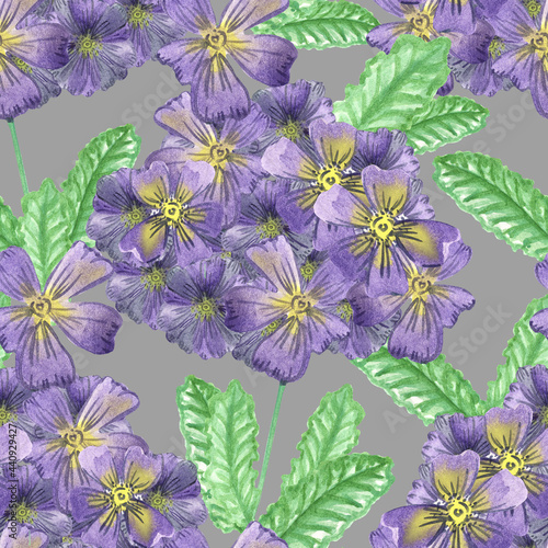 floral seamless pattern cute purple primrose flowers with leaves on grey background