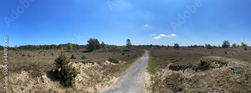Panorama from a path through Drents-Friese Wold National Park
