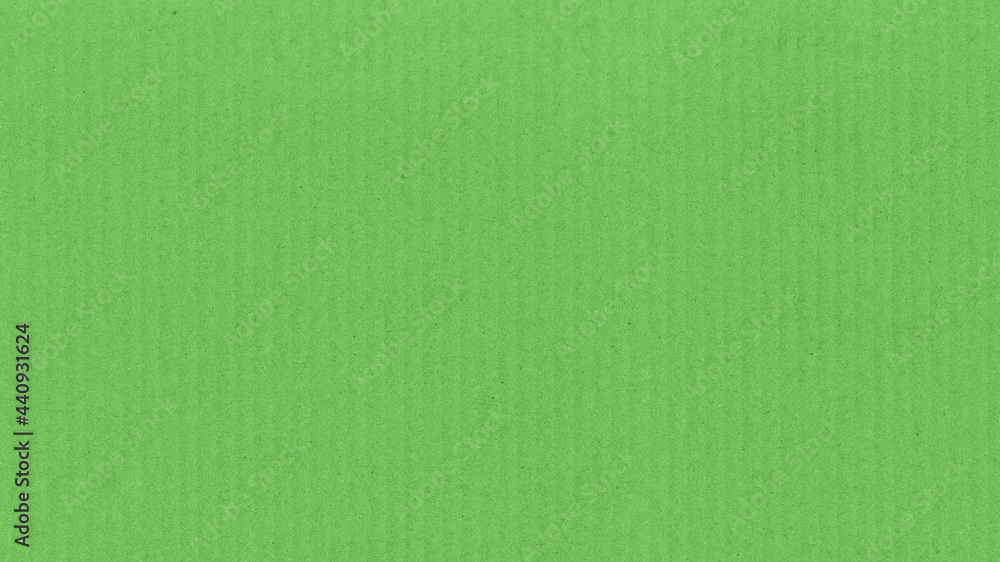Fototapeta premium green paper texture