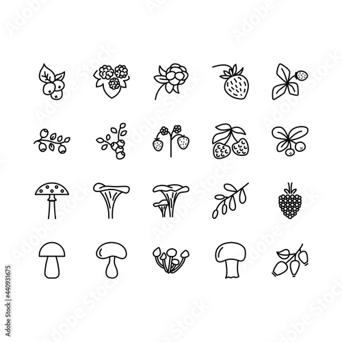 Forest berries and mushroom flat line icons set. Fresh berries raspberry, lingonberry, blueberry, blackberry, strawberry. Simple flat vector illustration for store, web site or mobile app