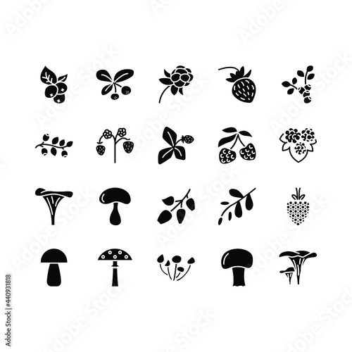 Forest berries and mushroom flat line icons set. Fresh berries raspberry, lingonberry, blueberry, blackberry, strawberry. Simple flat vector illustration for store, web site or mobile app