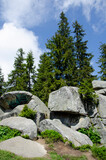 Beautiful green landscape. Big rocks in the forest. Sunny day in the Carpathian Mountains.