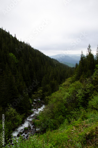 Beautiful green landscape with river and top of the mountains in the fog. © Halyna Dobrianska
