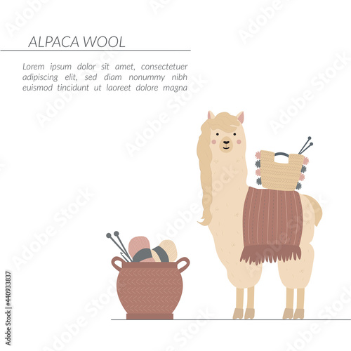 A template with an alpaca image and text in a flat style vector. This template can be used for wool and yarn business promotion. Cute alpaca with a cape and knitting tools. 