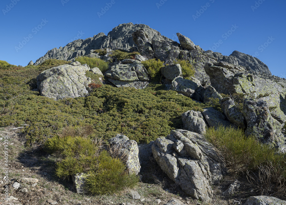 High-mountain scrublands in Guadarrama Mountains National Park, province of Madrid, Spain