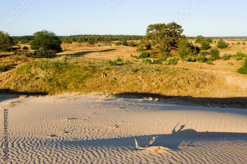 Kootwijkerzand, Kootwijk, Veluwe, Netherlands photo