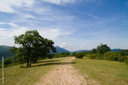 Panorama in umbria in estate