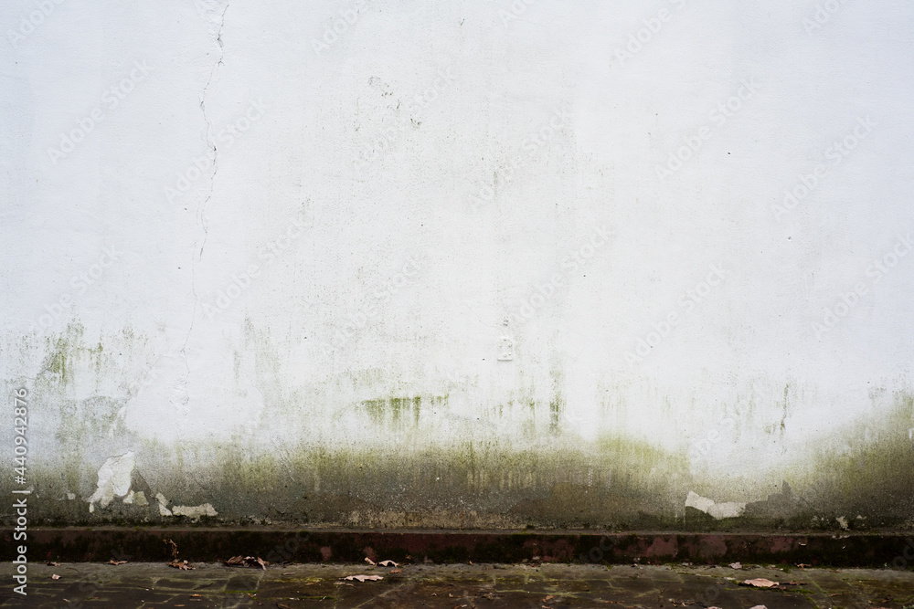 Fototapeta premium Old white wall with traces of mold on the facade