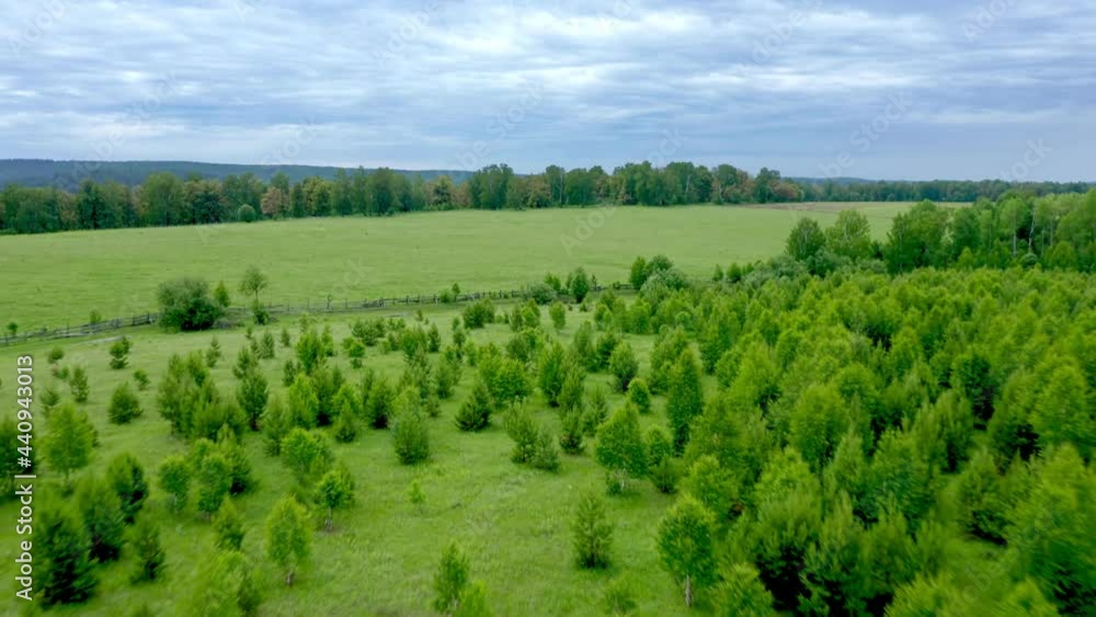 Agricultural land fenced with a wooden fence in the middle of the forest. Small shrubs and trees grow around the field. Nature, rest. It's a cloudy day. High quality. 4k footage. Agricultural land fenced with a wooden fence in the middle of the forest. Small shrubs and trees grow around the field. Nature, rest. It's a cloudy day. High quality. 4k footage.