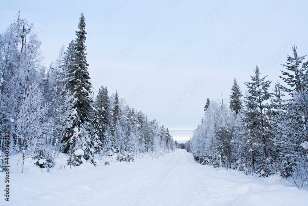 Taiga, Kuusamo, Finland Taiga, Kuusamo, Finland