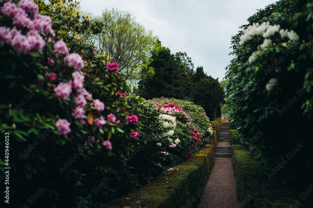Flower garden in Scandinavia a rainy day Flower garden in Scandinavia a rainy day