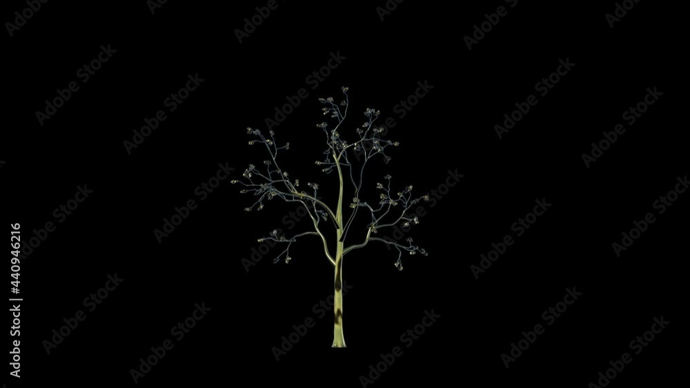 Gold tree timelapse growing, against black