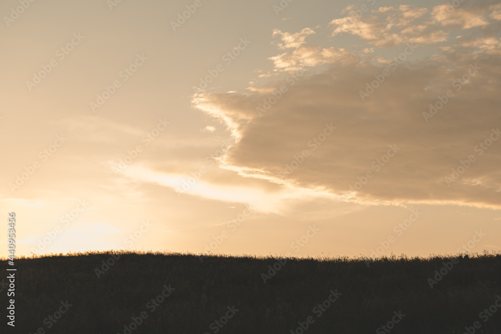 Obraz premium sunset over the field