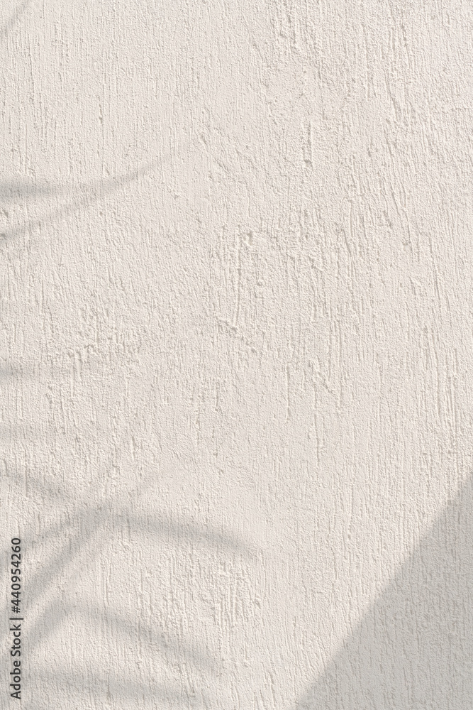Obraz premium Shadow of leaves on a concrete wall